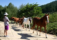 0217 Swellendam IMG_2927.JPG